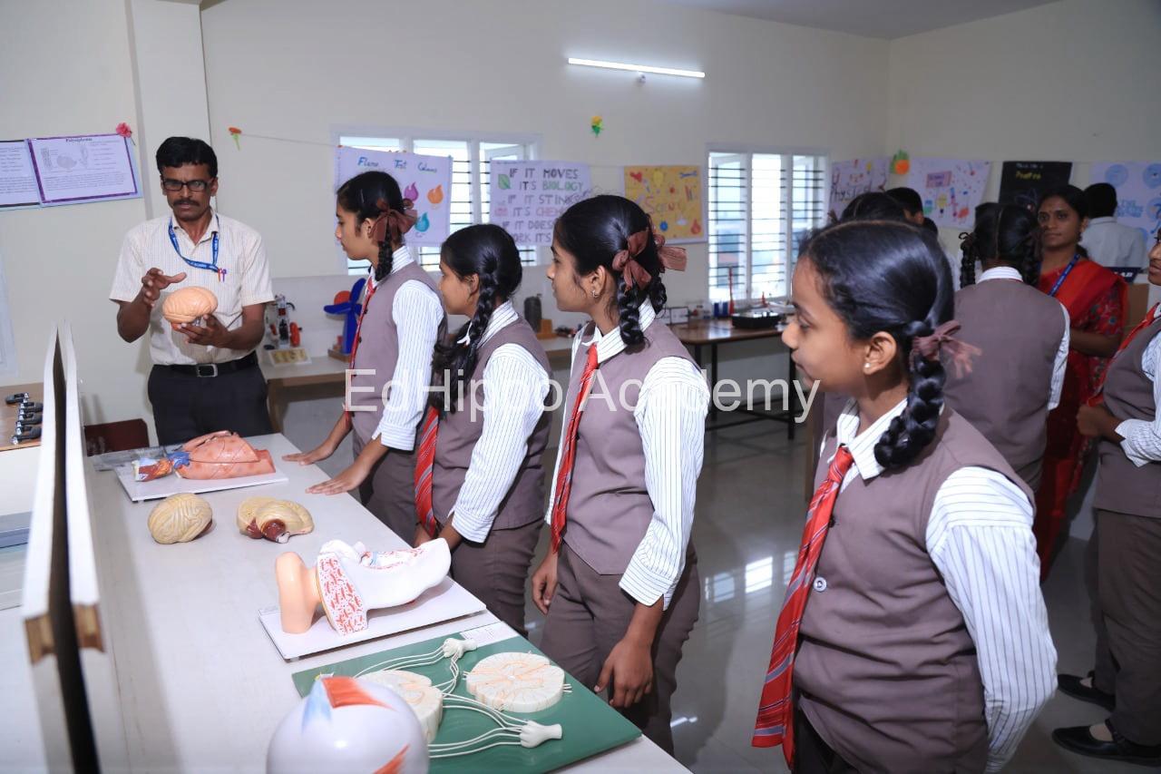 Balaji National Public School - Image 1