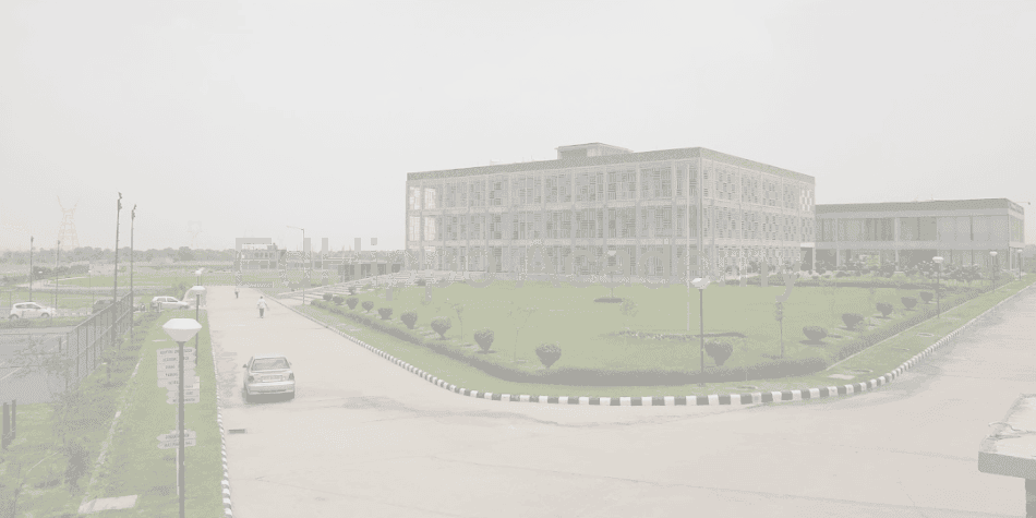 sehwag international school - Image 4