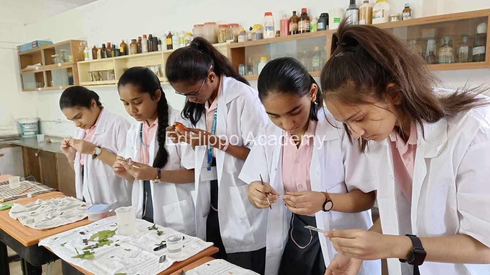 Tripada International School - Image 4