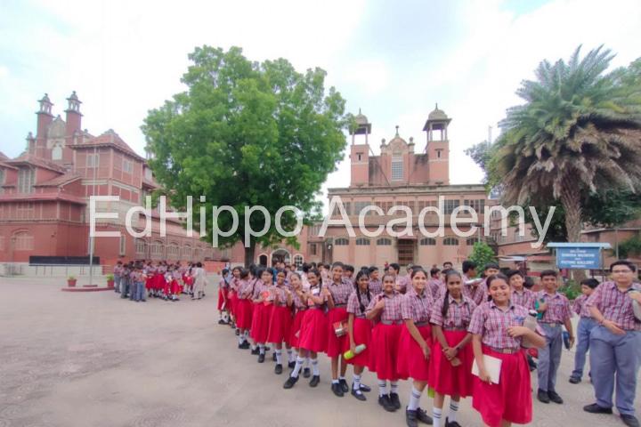 AVALON WORLD SCHOOL - Image 2