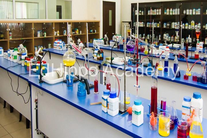 SVET School - Image 2