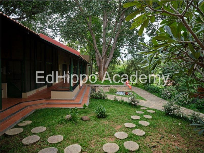 Green Bell High - Image 4