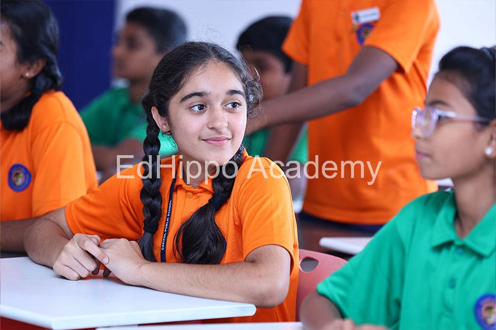 Capitol Public School - Image 4