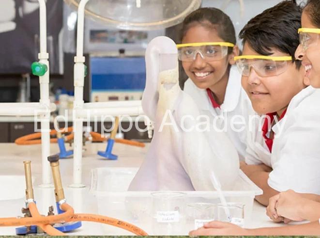 Singapore International School, Mumbai - Image 3