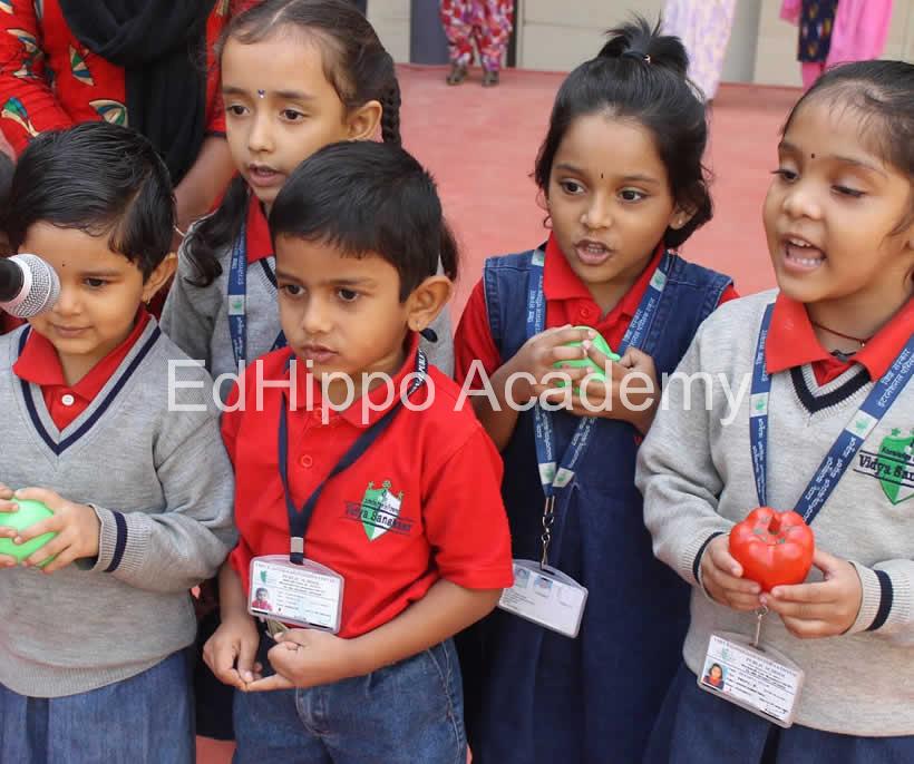 Vidya Sanskaar International Public School - Image 1