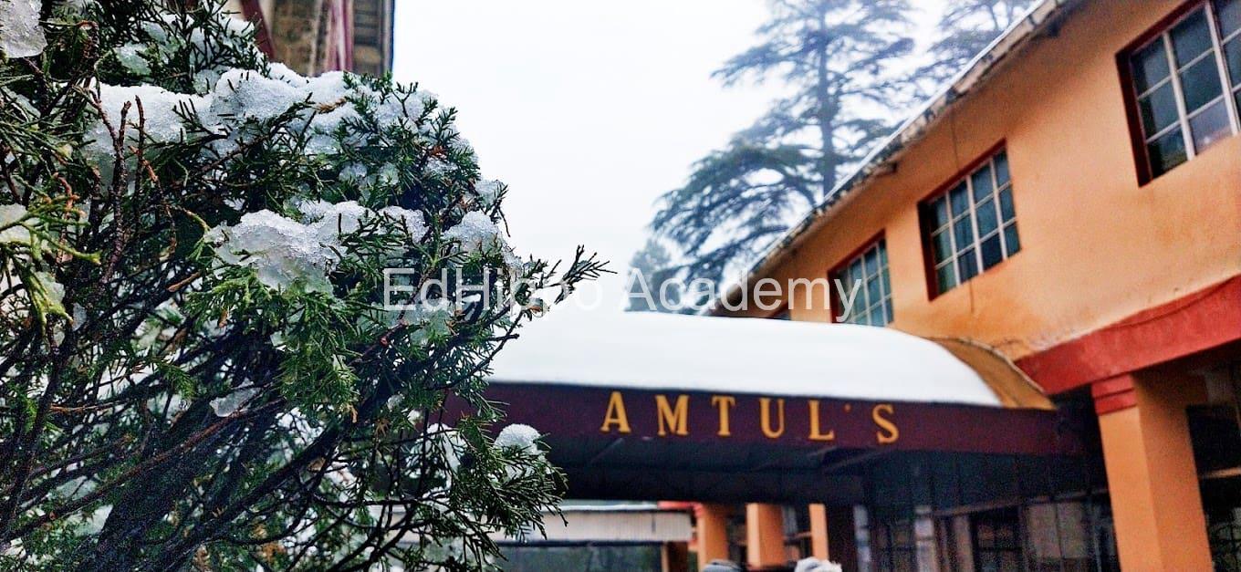 Amtul Public School school photo | EdHippo Academy