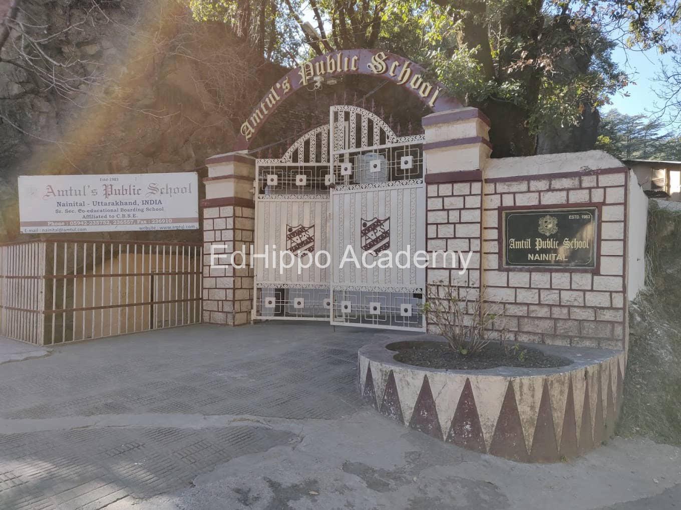Amtul Public School - Image 2
