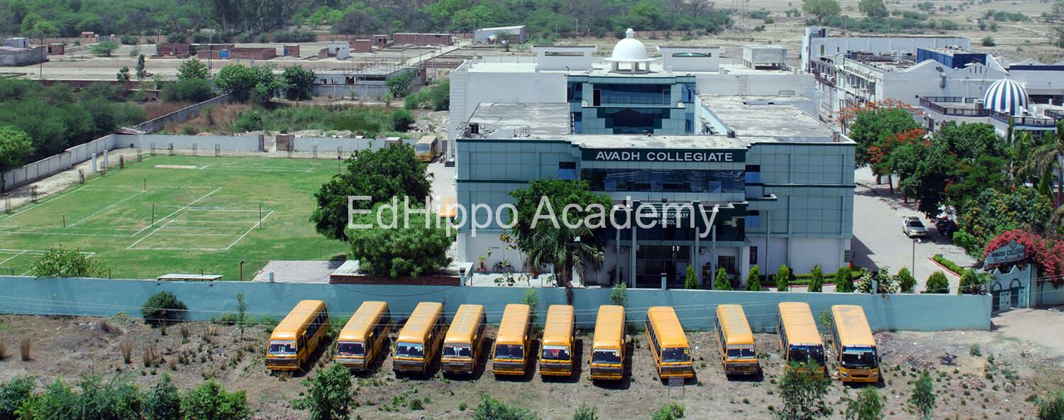 Avadh Collegiate school photo | EdHippo Academy