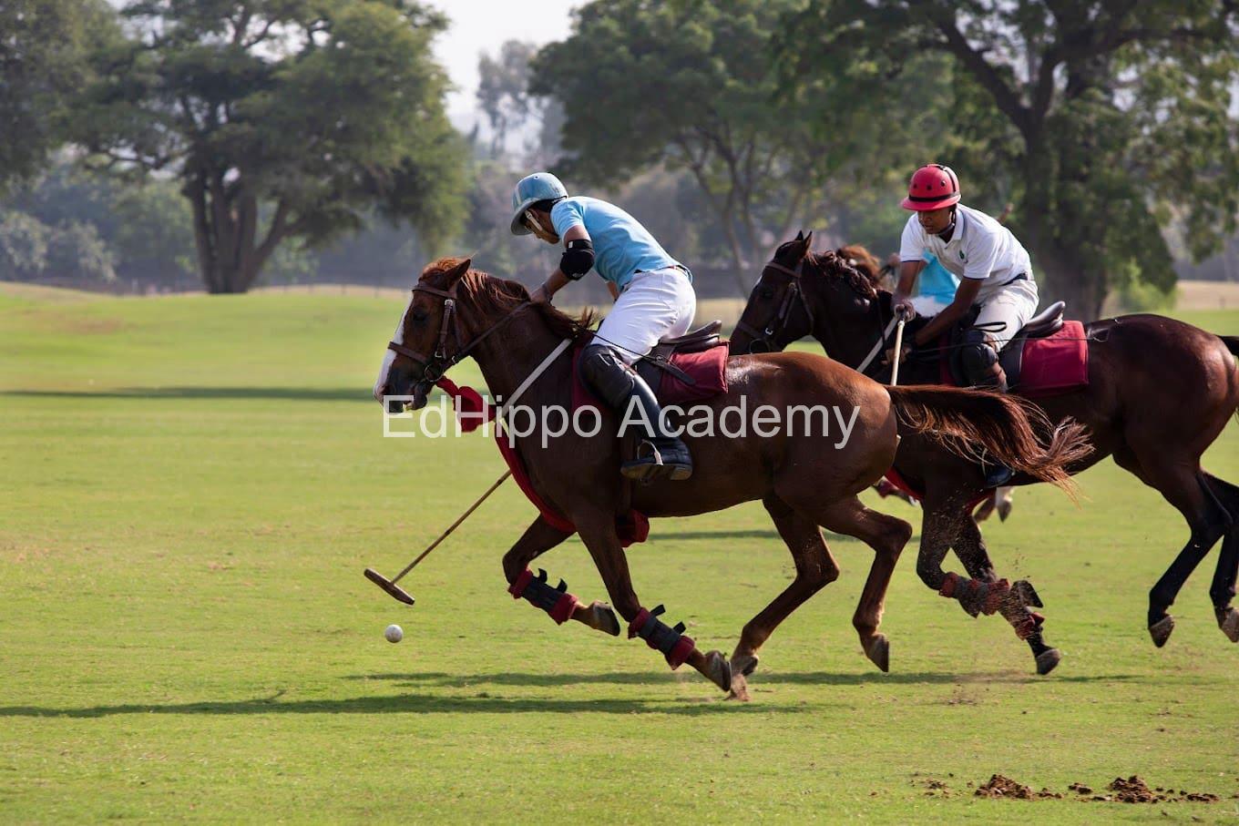 Mayo College for boys - Image 4