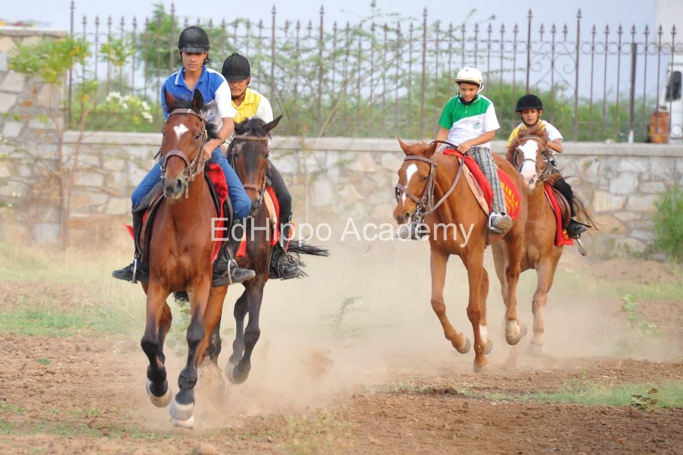 Birla Public School, Kishangarh  - Image 3