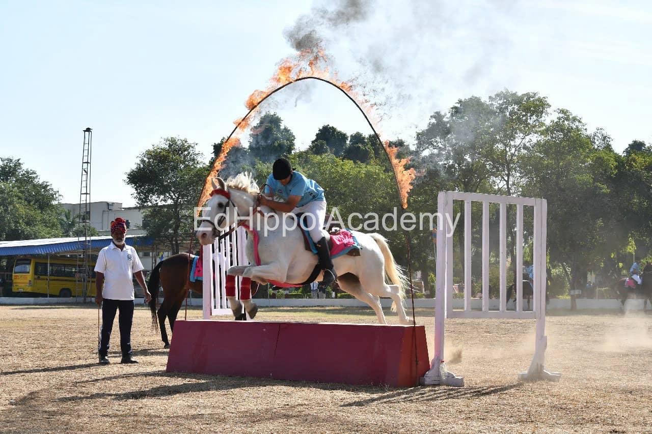 Vidya Niketan Birla Public School - Image 3