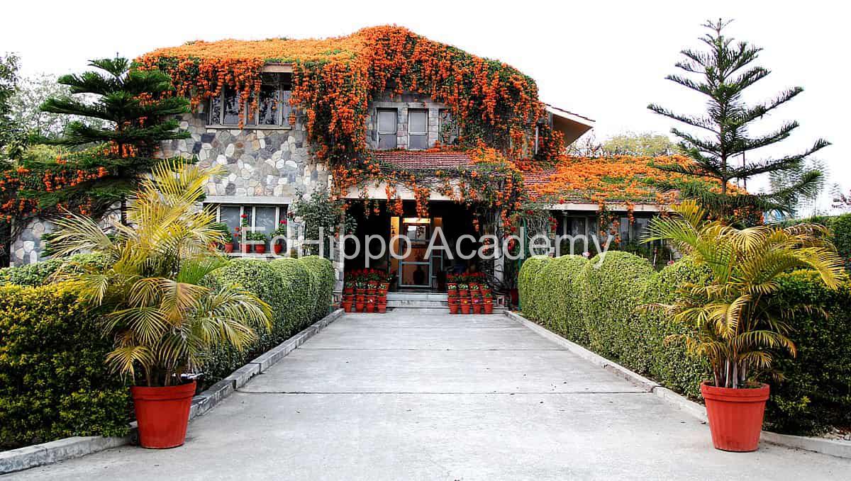 Selaqui International School | EdHippo Academy