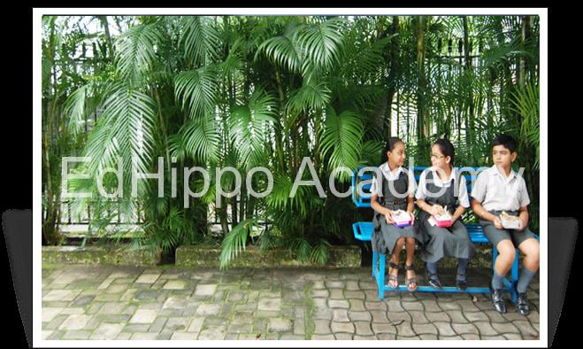 Summer Valley School - Image 4