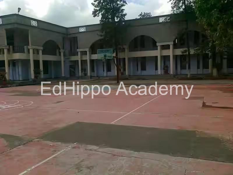 Raja Ram Mohan Roy Academy - Image 2