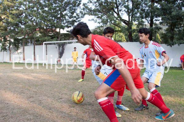 The Pestle Weed School - Image 3