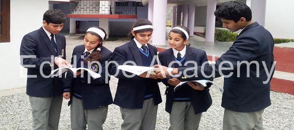 The Pestle Weed School - Image 4