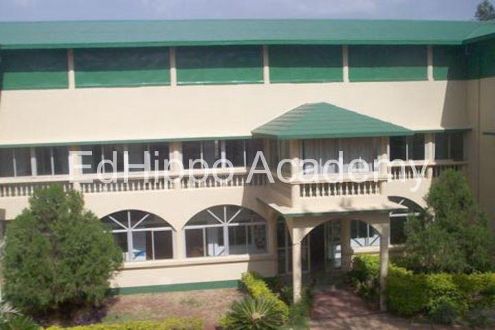 Codesh School school photo | EdHippo Academy