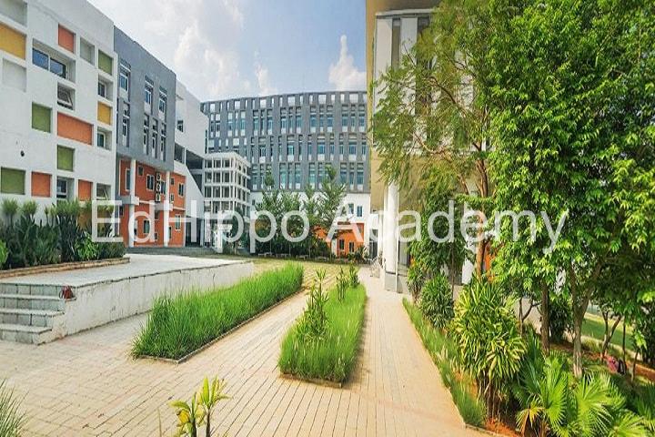 Birla Open Minds International School - Image 2