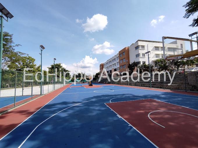 The Sports School  - Image 1