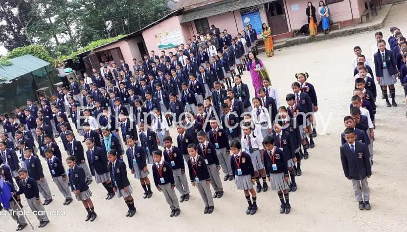 Pine Hall School school photo | EdHippo Academy